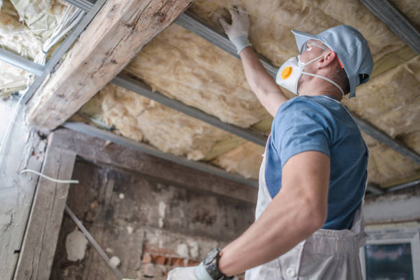 Best Insulation Installation Services in Russellville, KY